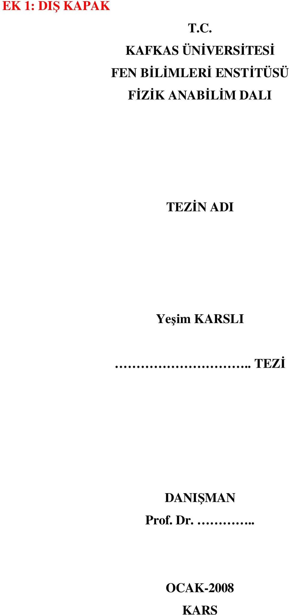 ENSTİTÜSÜ FİZİK ANABİLİM DALI TEZİN