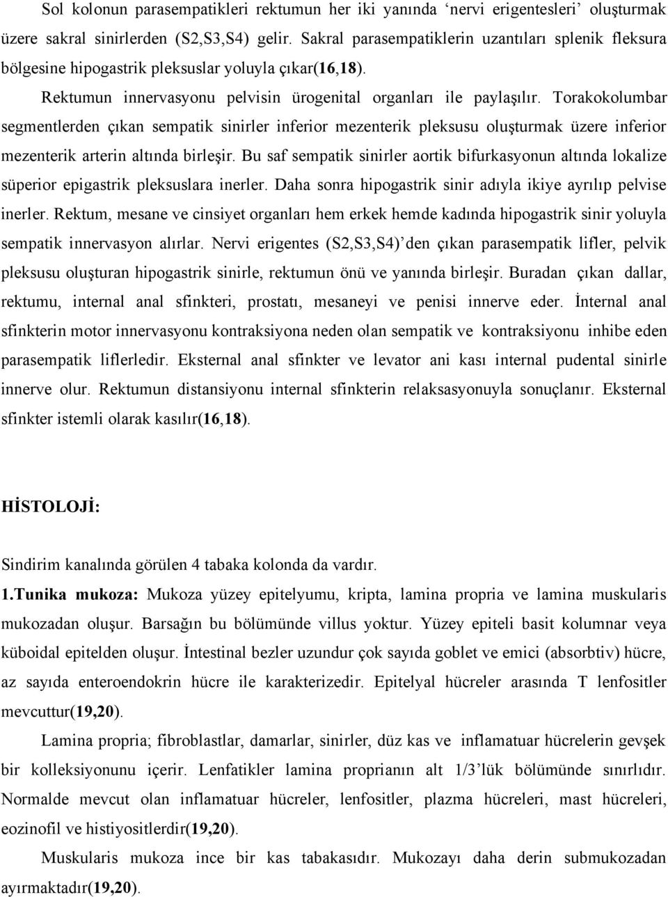 Torakokolumbar segmentlerden çıkan sempatik sinirler inferior mezenterik pleksusu oluşturmak üzere inferior mezenterik arterin altında birleşir.