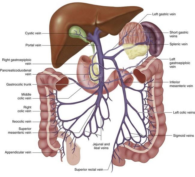 term=hepatic+insufficiency&lang=4