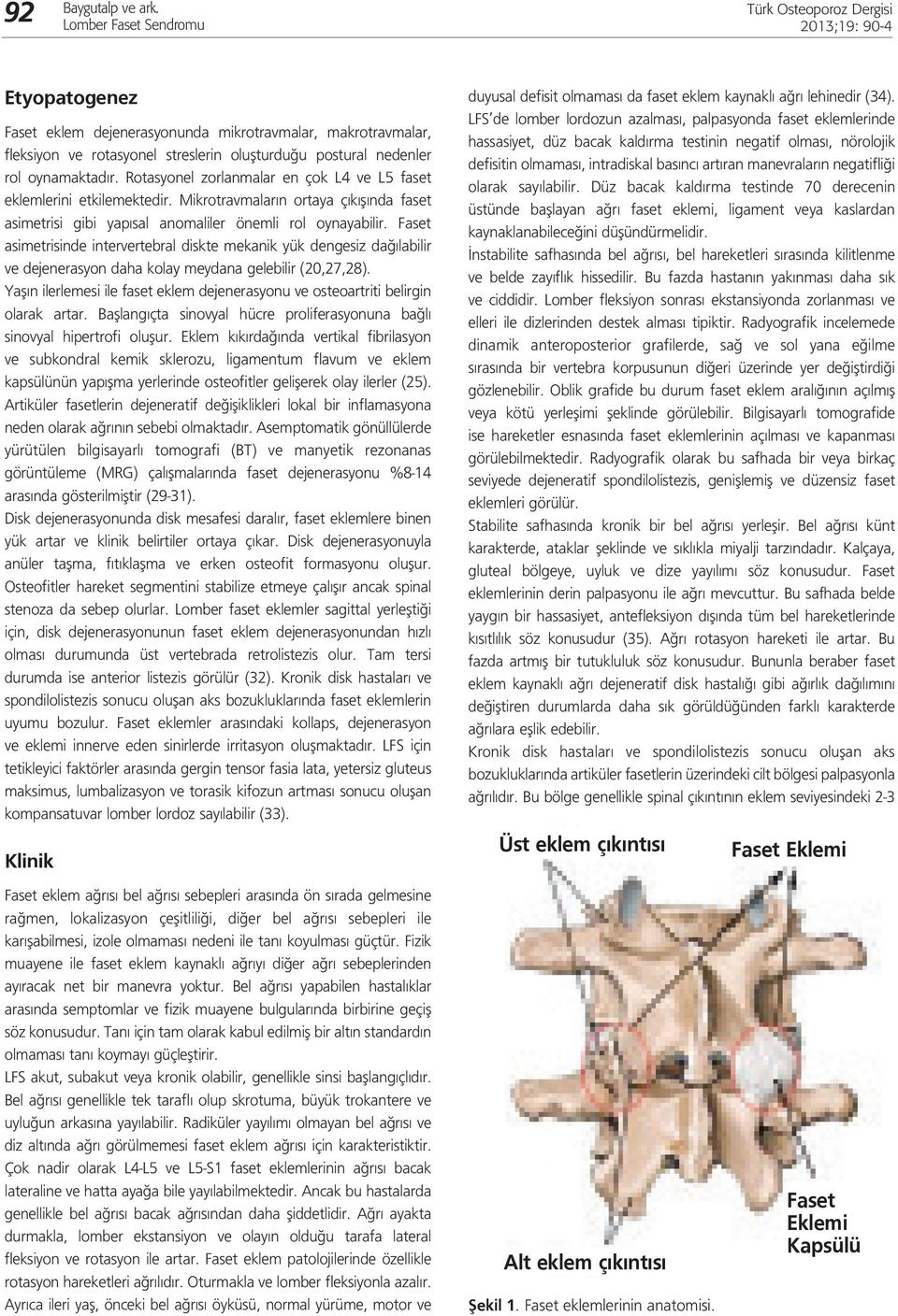 Faset asimetrisinde intervertebral diskte mekanik yük dengesiz dağılabilir ve dejenerasyon daha kolay meydana gelebilir (20,27,28).