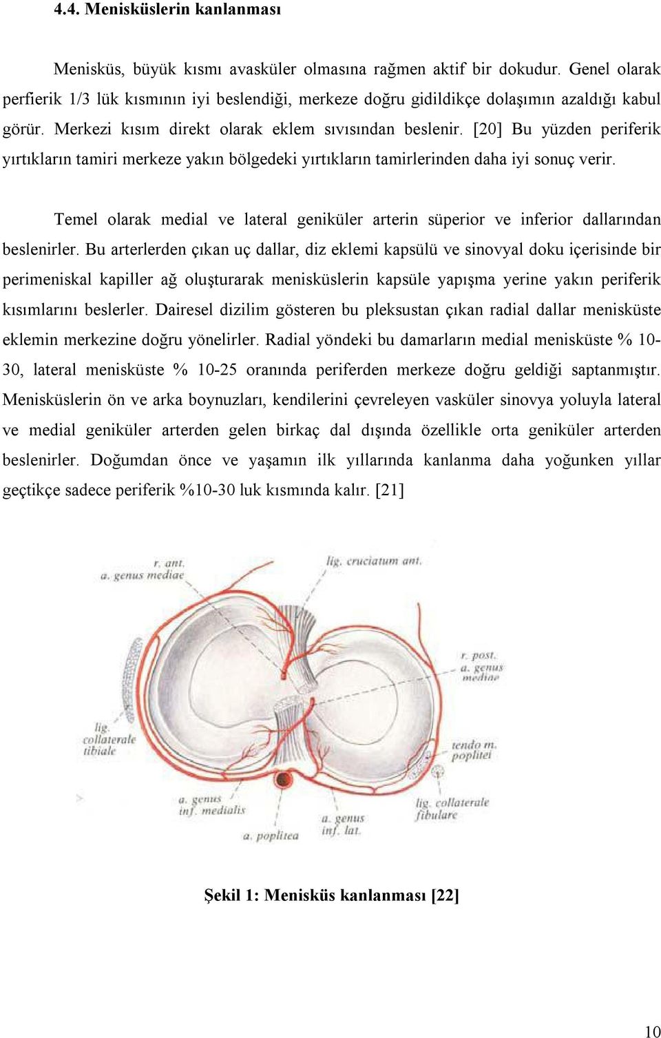 [20] Bu yüzden periferik yırtıkların tamiri merkeze yakın bölgedeki yırtıkların tamirlerinden daha iyi sonuç verir.