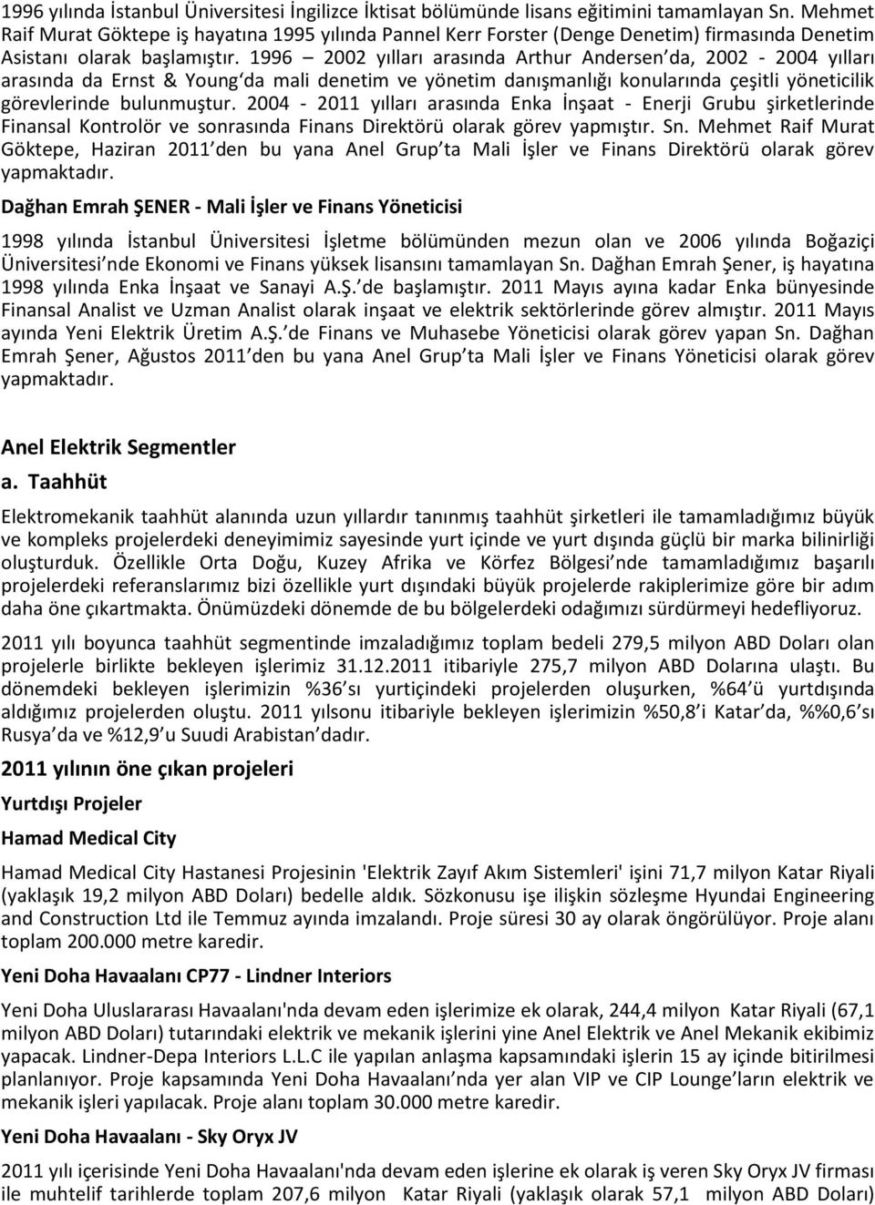 1996 2002 yılları arasında Arthur Andersen da, 2002-2004 yılları arasında da Ernst & Young da mali denetim ve yönetim danışmanlığı konularında çeşitli yöneticilik görevlerinde bulunmuştur.