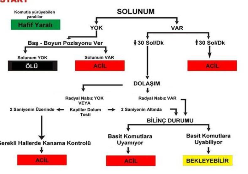 23-24-Sağlık Bakanlığının 2009 yılında çıkardığı Yataklı Sağlık Tesislerinde Acil Servis Hizmetlerinin Uygulama Usul Ve Esasları Hakkında Tebliğ hastanelerin acil servislerinde triyaj uygulama ve