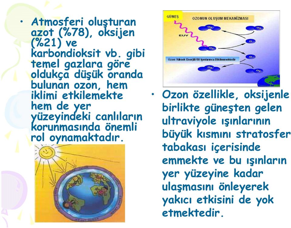 canlıların korunmasında önemli rol oynamaktadır.