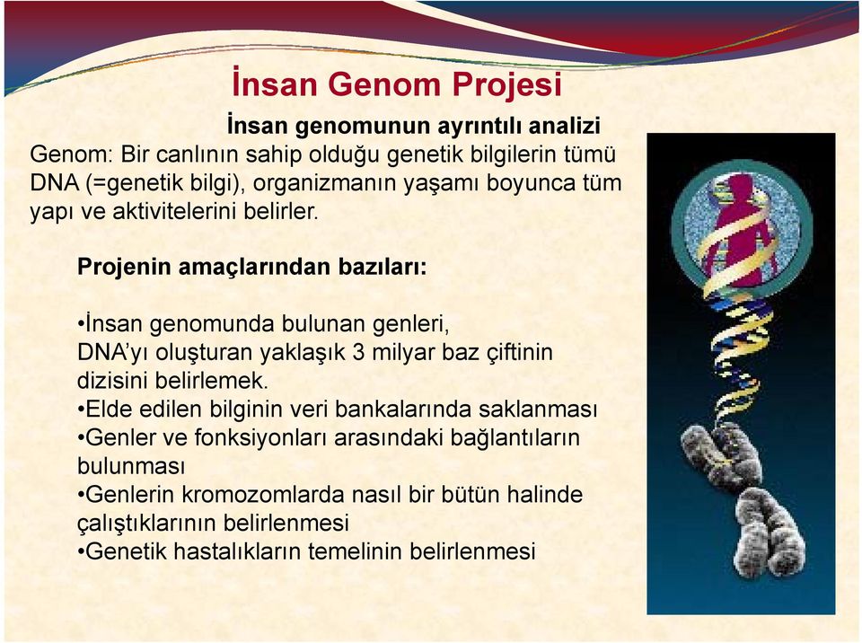 Projenin amaçlarından bazıları: İnsan genomunda bulunan genleri, DNA yı oluşturan yaklaşık 3 milyar baz çiftinin dizisini belirlemek.