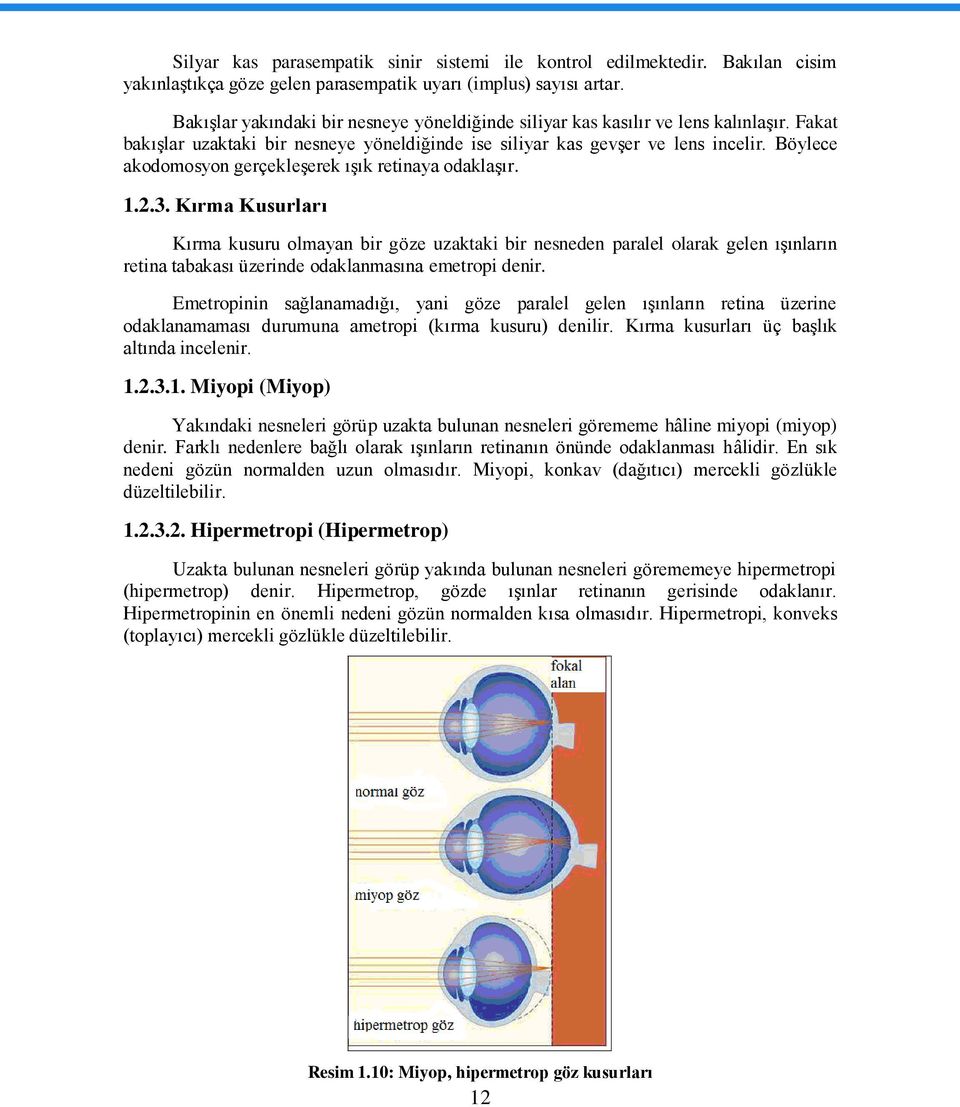 Böylece akodomosyon gerçekleģerek ıģık retinaya odaklaģır. 1.2.3.