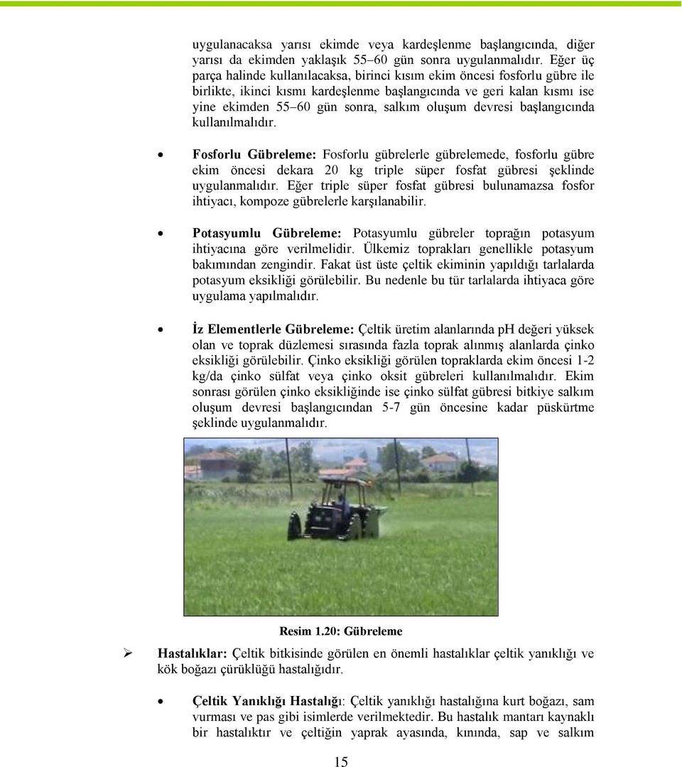 devresi başlangıcında kullanılmalıdır. Fosforlu Gübreleme: Fosforlu gübrelerle gübrelemede, fosforlu gübre ekim öncesi dekara 20 kg triple süper fosfat gübresi şeklinde uygulanmalıdır.