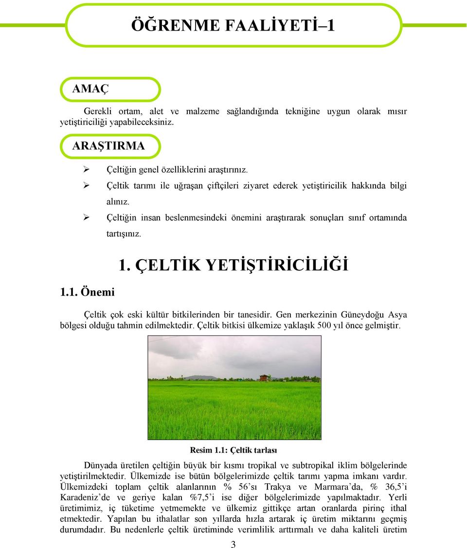 Çeltiğin insan beslenmesindeki önemini araştırarak sonuçları sınıf ortamında 1.1. Önemi tartışınız. 1. ÇELTİK YETİŞTİRİCİLİĞİ Çeltik çok eski kültür bitkilerinden bir tanesidir.