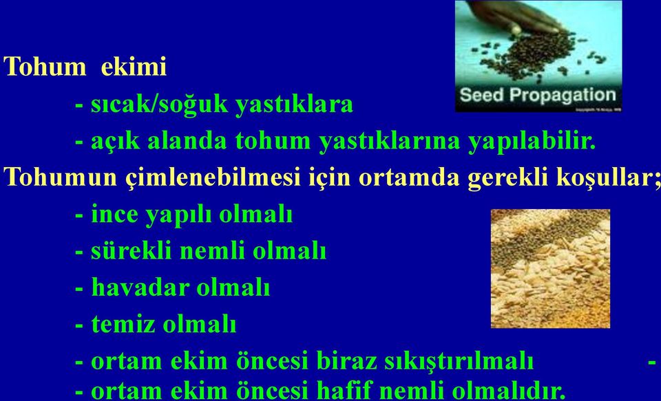 Tohumun çimlenebilmesi için ortamda gerekli koşullar; - ince yapılı olmalı