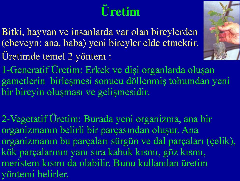 bireyin oluşması ve gelişmesidir. 2-Vegetatif Üretim: Burada yeni organizma, ana bir organizmanın belirli bir parçasından oluşur.