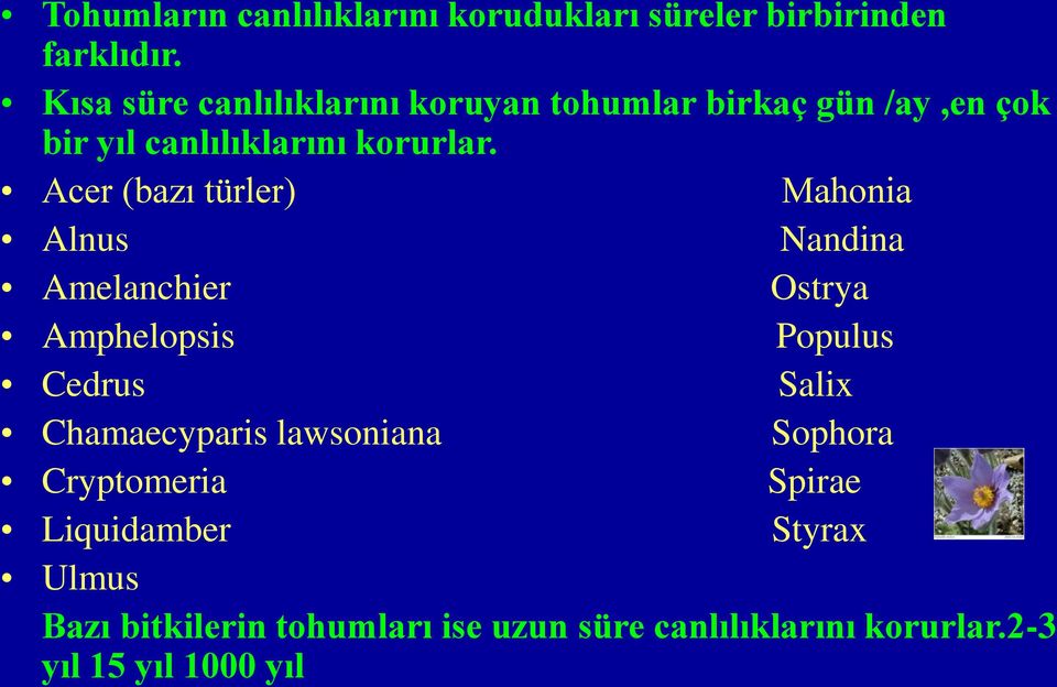 Acer (bazı türler) Mahonia Alnus Nandina Amelanchier Ostrya Amphelopsis Populus Cedrus Salix