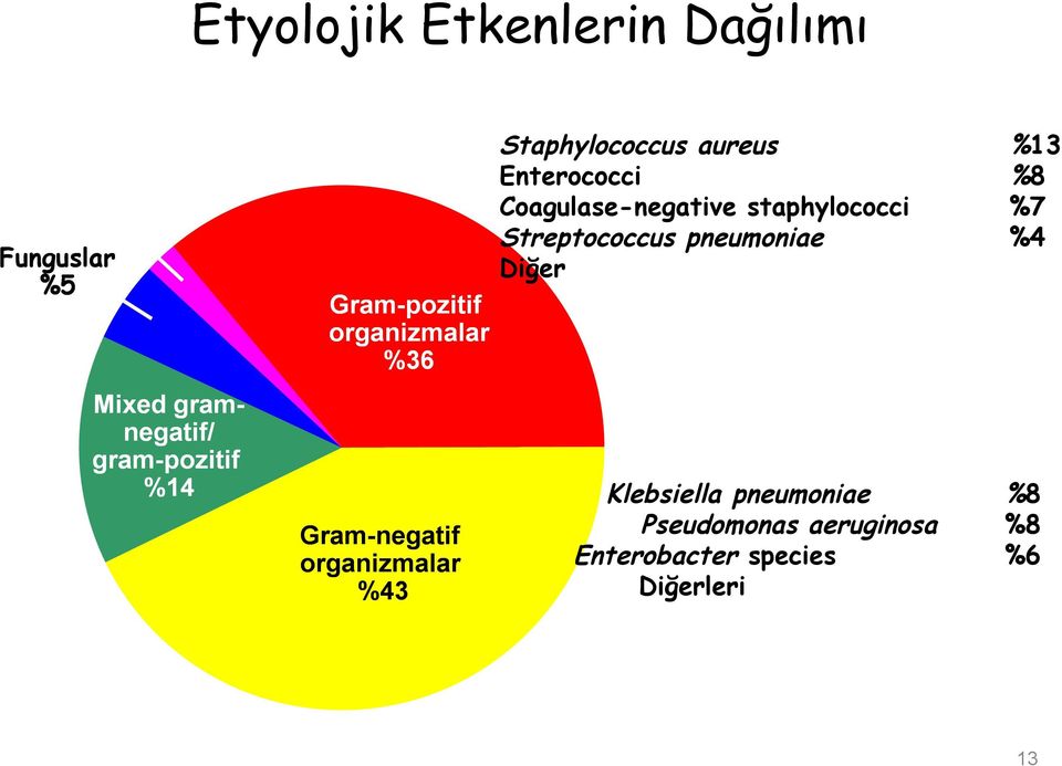 staphylococci %7 Streptococcus pneumoniae %4 Diğer %4 Escherichia coli %12 Klebsiella pneumoniae %8