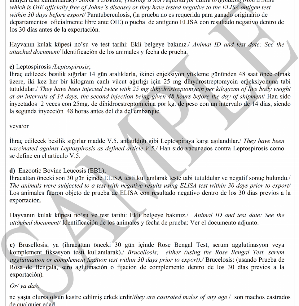 Yada/or/o IBR karşı bir inaktif polyvalan aşı ile aşılandılar. Not: aşılama programı madde V.5 de anlatıldığı gibi olmalıdır.