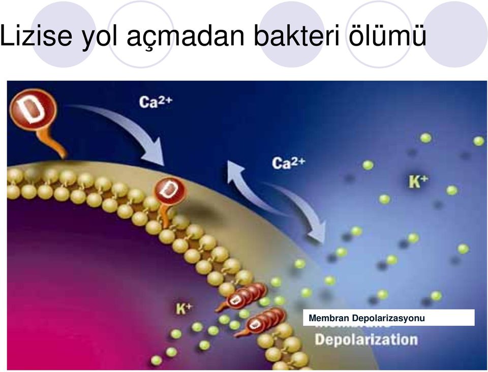 bakteri ölümü