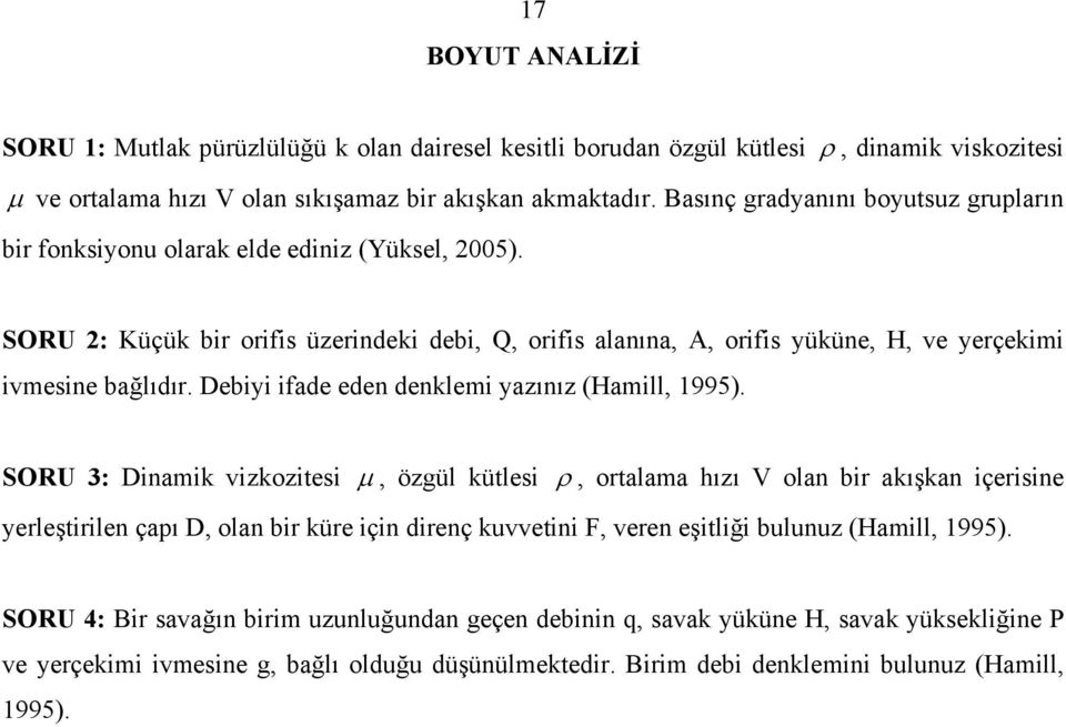 Debiyi ifade eden denklemi yazınız (Hamill, 1995).