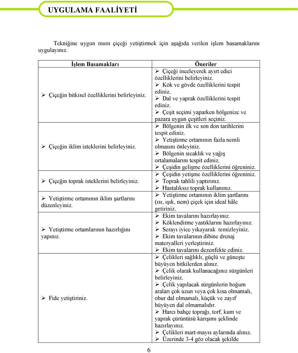 6 Öneriler Çiçeği inceleyerek ayırt edici özelliklerini belirleyiniz. Kök ve gövde özelliklerini tespit ediniz. Dal ve yaprak özelliklerini tespit ediniz.