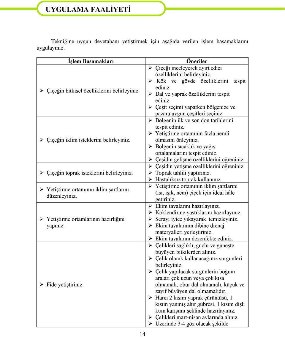 14 Öneriler Çiçeği inceleyerek ayırt edici özelliklerini belirleyiniz. Kök ve gövde özelliklerini tespit ediniz. Dal ve yaprak özelliklerini tespit ediniz.