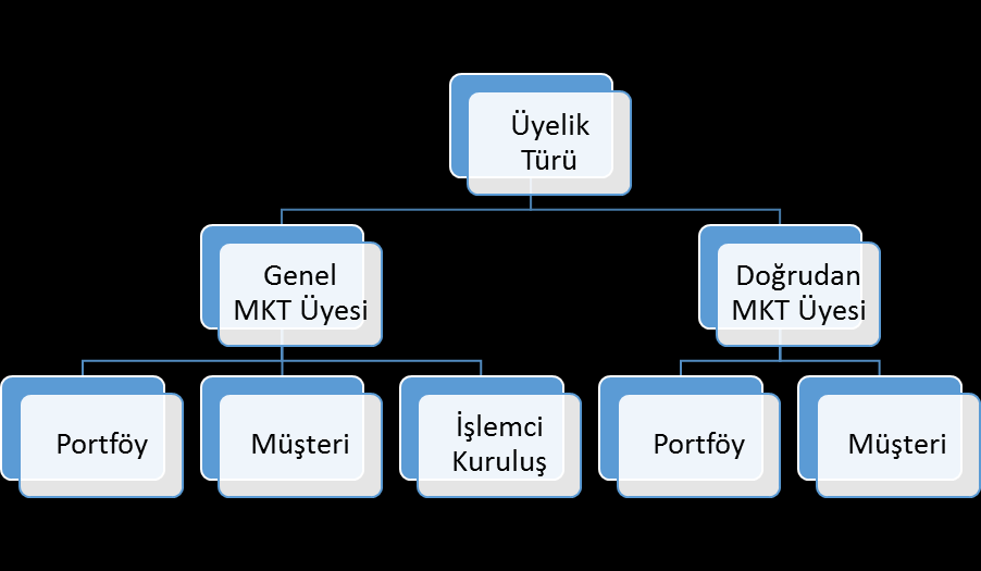 koşuluyla MKT hizmetlerine piyasa veya sermaye piyasası aracı bazında MKT üyesi olarak taraf olabilirler. 2.