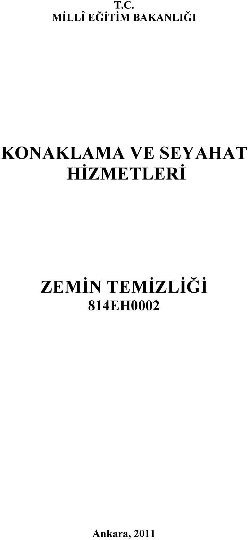 SEYAHAT HİZMETLERİ ZEMİN