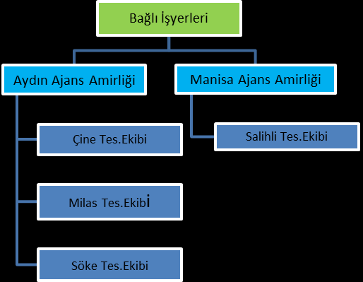 TEŞKİLAT