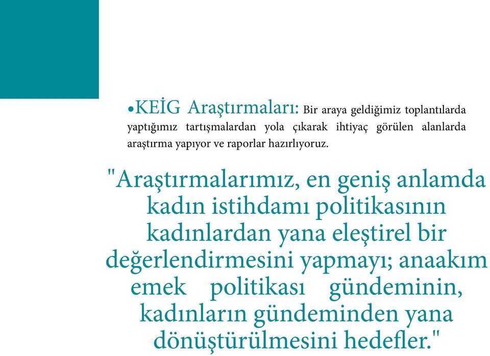 "Araştırmalarımız, en geniş anlamda kadın istihdamı politikasının kadınlardan yana eleştirel