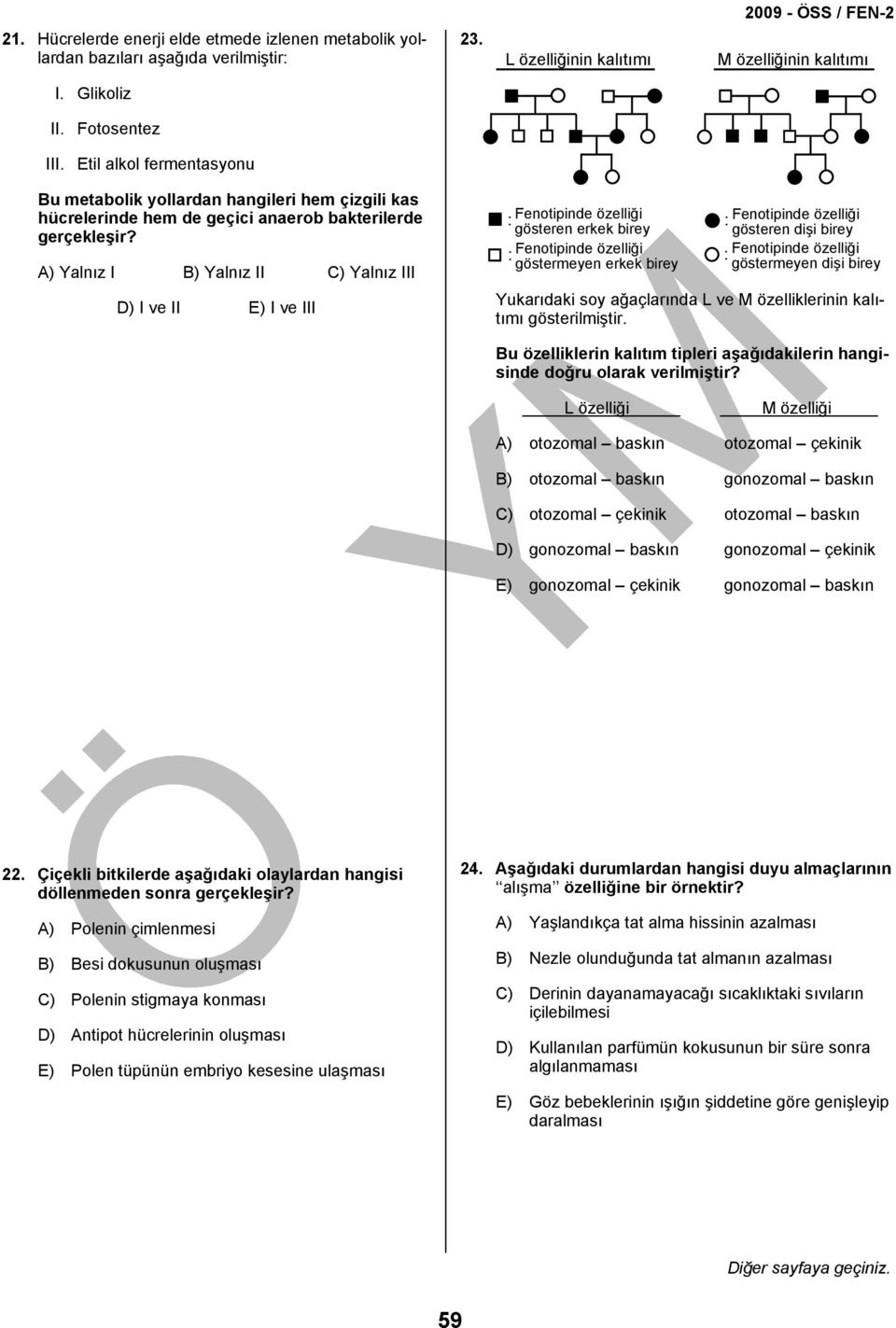 D) I ve II E) I ve III : Fenotipinde özelliği gösteren erkek birey : Fenotipinde özelliği göstermeyen erkek birey : Fenotipinde özelliği gösteren dişi birey : Fenotipinde özelliği göstermeyen dişi