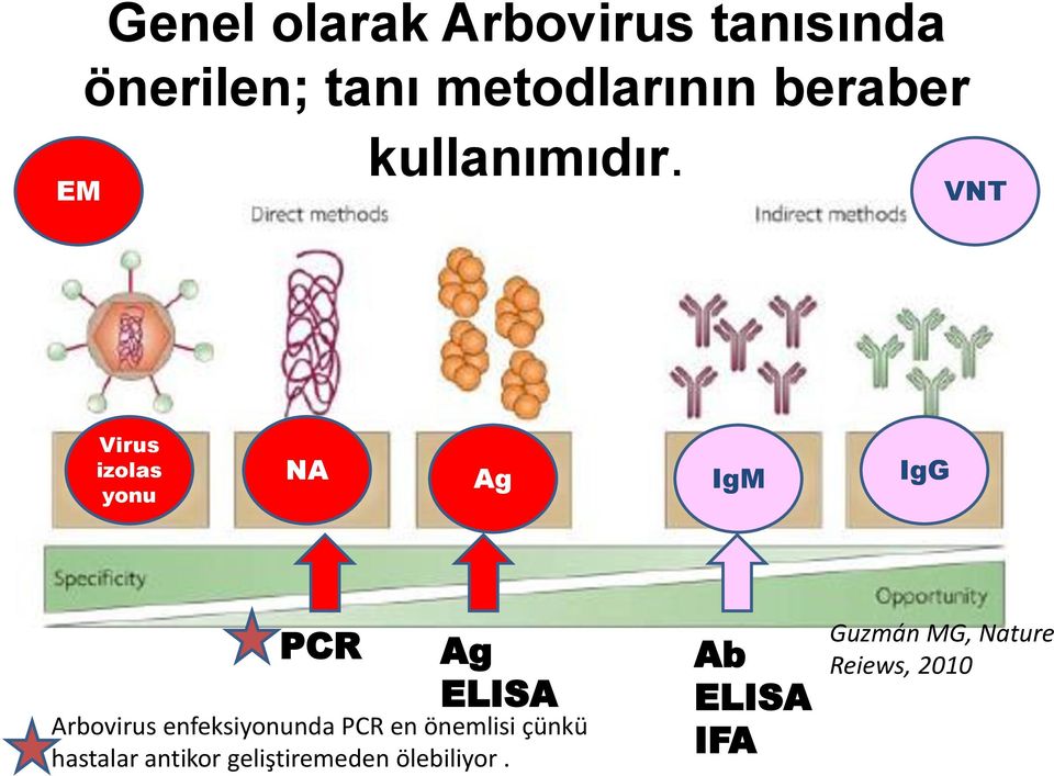 VNT Virus izolas yonu NA Ag IgM IgG PCR Ag ELISA Arbovirus