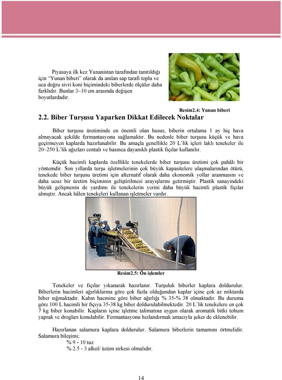 4: Yunan biberi 2.2. Biber Turşusu Yaparken Dikkat Edilecek Noktalar Biber turşusu üretiminde en önemli olan husus, biberin ortalama 1 ay hiç hava almayacak şekilde fermantasyonu sağlamaktır.