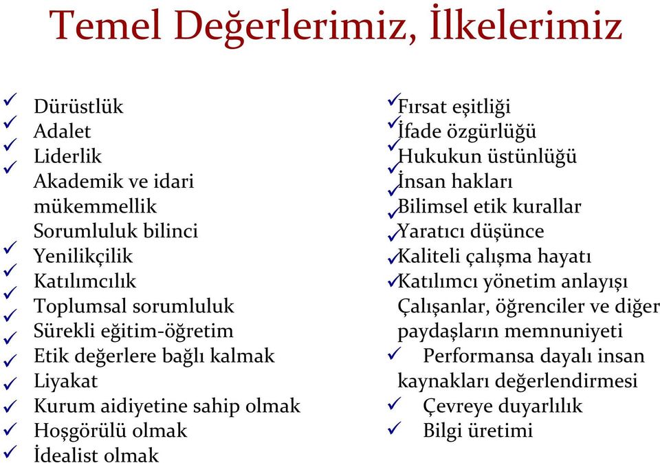 Fırsat eşitliği İfade özgürlüğü Hukukun üstünlüğü İnsan hakları Bilimsel etik kurallar Yaratıcı düşünce Kaliteli çalışma hayatı Katılımcı