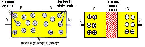 P tipi yarı iletken maddelerde çoğunluk taşıyıcısı (+) pozitif yüklü oyuklar, azınlık taşıyıcısı ise (-) negatif yüklü iyonlardır. Şekil 1.