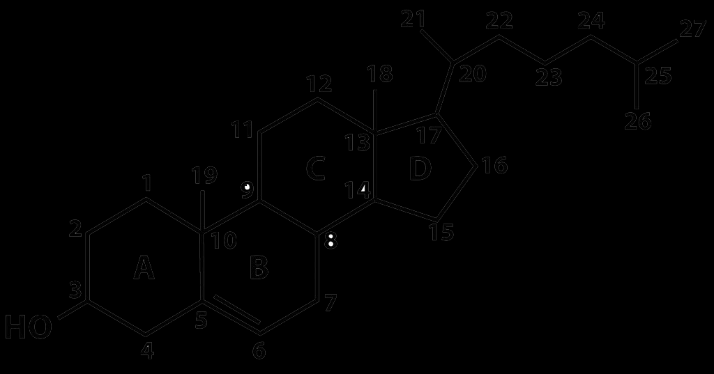 Steroidler