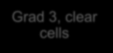 Opere Evre I - II Epitelyal Over Kanserinde Adjuvant Tedavi Evre IA-IB Evre IC-II Grad 1 Grad 2 Grad 3,