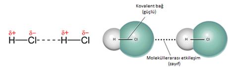 Resim 1.24: Apolar moleküllerde Van der Waals bağları Dipol dipol etkileģimi Ametallerin oluģturduğu polar moleküllerde (HCl, HBr, H 2 S.