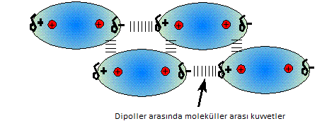 Ġki polar molekül birbirine yaklaģtığında zıt yüklü kutuplar elektrostatik çekim kuvveti oluģur. Bu kuvvete dipol dipol etkileģimi denir.