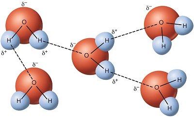 Hidrojen bağı Hidrojenin elektron ilgisi büyük atomlarla oluģturduğu bileģiklerde, molekülleri bir arada tutan kuvvete hidrojen bağı denir.