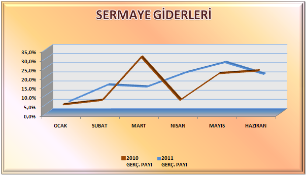 2011 yılının ilk altı ayında 994 milyon 559 bin TL gerçekleşmiş olan sermaye giderleri içinde en yüksek harcama 539 milyon 880 bin TL ile raylı sistem projeleri, yol yapımları, altyapı yatırımları