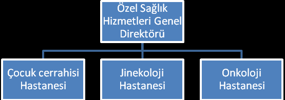 Fonksiyon Temeline Göre Bölümlere Ayırma Kurumlarda işler, pazarlama, üretim, finansman ve diğer işletme fonksiyonlarına göre bölümlere ayrılabilir.