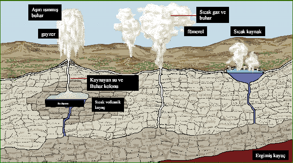 Gayzer Kaynaklar: Volkanik bölgelerde