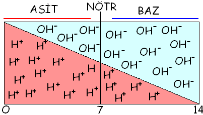 Suda çözündüklerinde H + iyonu veren maddelere asit denir. Suda çözündüklerinde OH - (hidroksil) taģıyarak H + iyonu alan maddelere ise baz adı verilir. Total ph ölçeği 0 ile 14 arasında değiģir.
