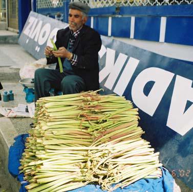 Trachystemon orientale (Ispıt) Karadeniz bölgesinde yaygın olarak tüketilen doğal bir sebzedir.