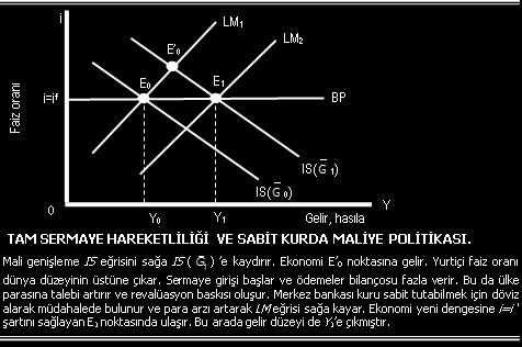 Tam Sermaye Hareketliliğinde