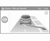 Sürüş ve kullanım 163 Bir park yeri algılandığında, Sürücü Bilgi Sistemi (DIC) ekranında bir görsel geribildirim ve sesli bir sinyal verilir.
