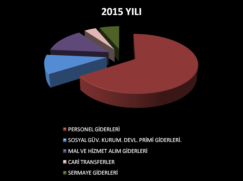 2015 ve 2016 yılı ilk altı aylık harcamalara baktığımızda Personel Giderleri en çok yüzde ile harcama yapılan dilim olarak görülmektedir.