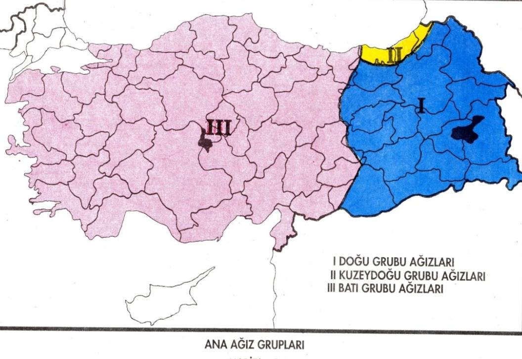 dil özelliklerine göre tasnif etmiģlerdir.