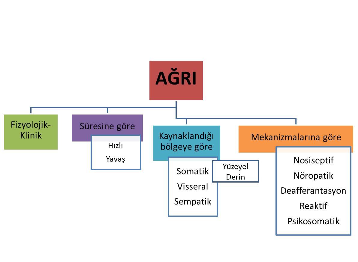 Ağrı Fizyopatolojisi Şekil 12.6.