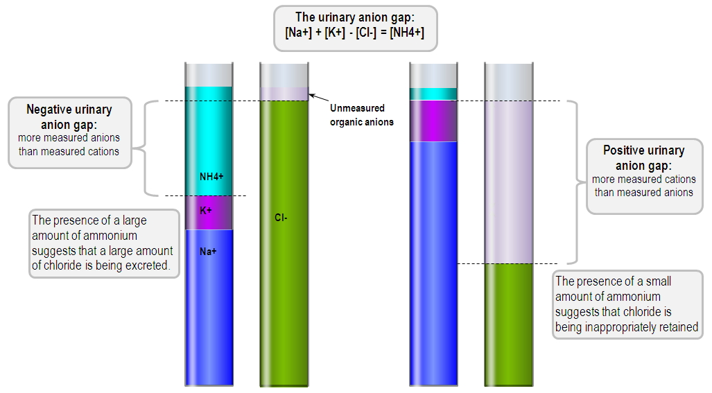 İDRAR ANYON GAP (AÇIĞI) İdar Anyonları Cl, HCO 3, PO 4, SO 4, organik anyonlar = İdar Katyonları Na +, K +, NH 4+, Ca 2+ Mg 2+ Diyare Üriner sistem diversiyonu Amonyum klorür alımı RTA Tip I Tip II