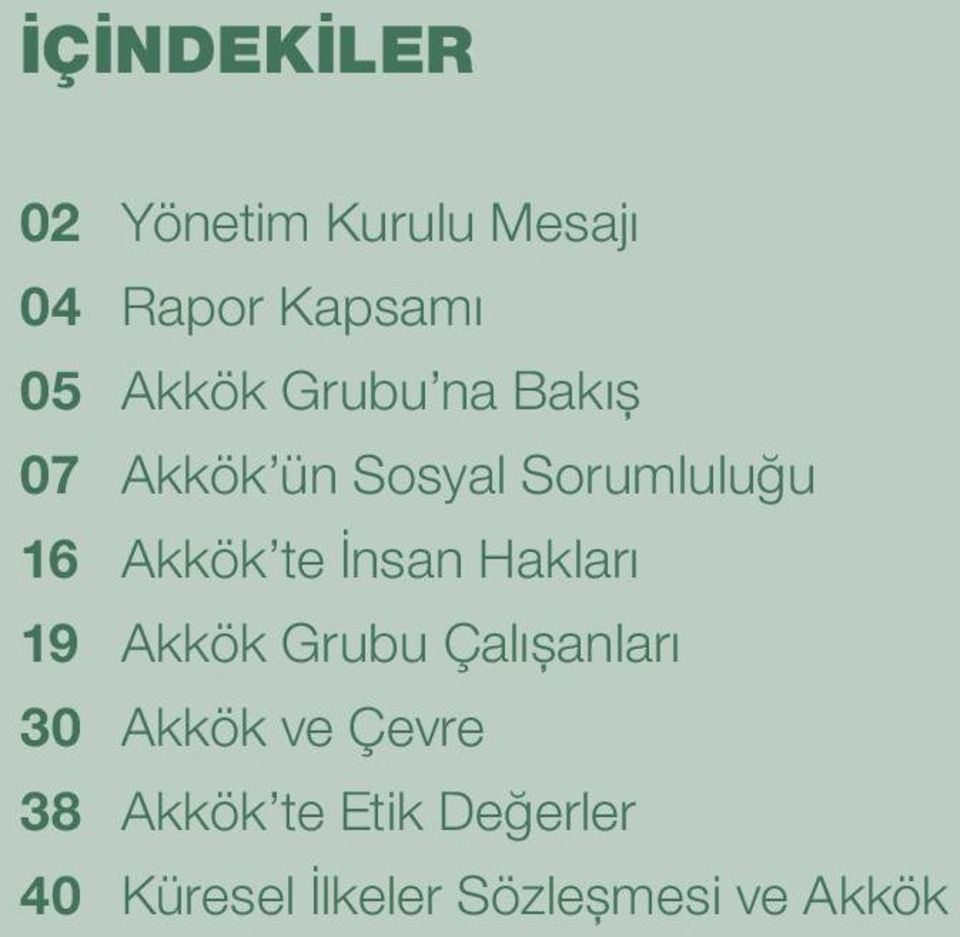 te İnsan Hakları 19 Akkök Grubu Çalışanları 30 Akkök ve