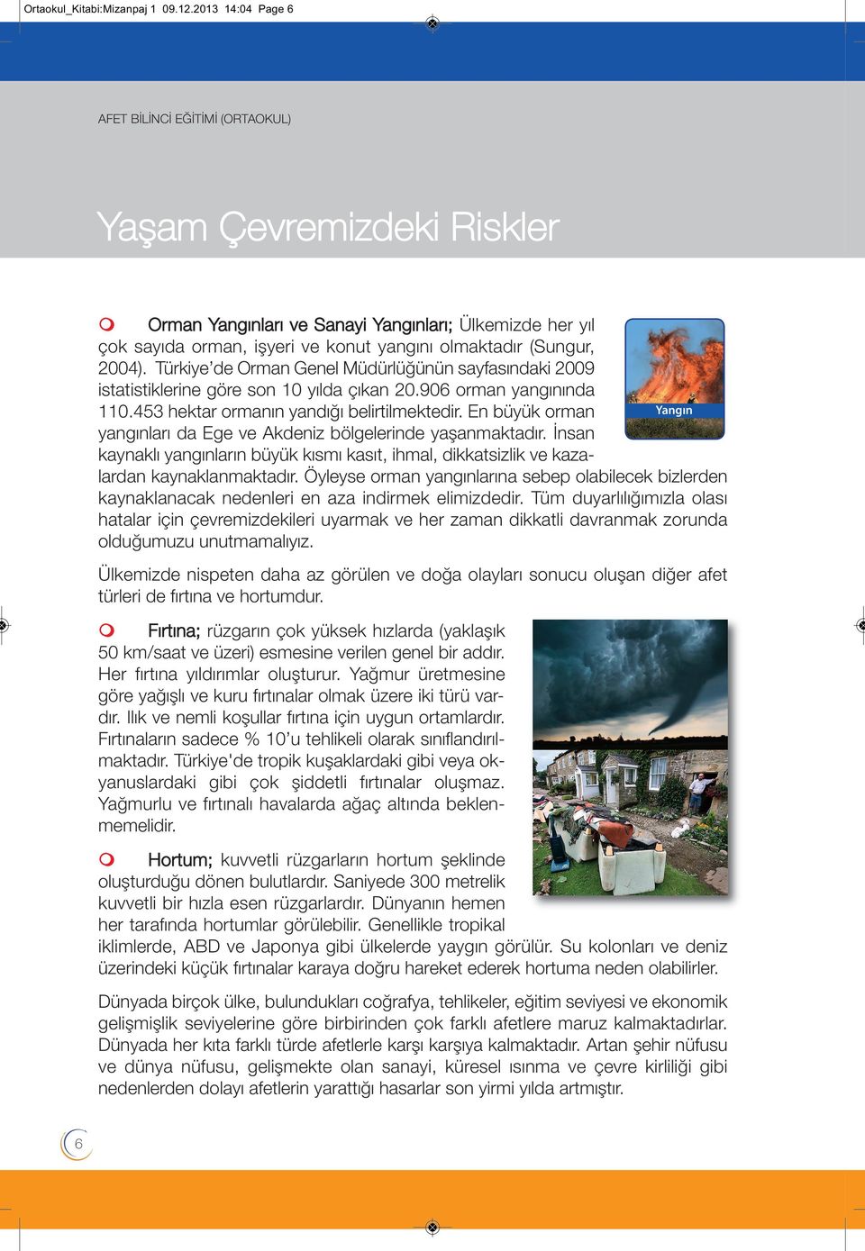 Türkiye de Orman Gene Müdürüğünün sayfasındaki 2009 istatistikerine göre son 10 yıda çıkan 20.906 orman yangınında 110.453 hektar ormanın yandığı beirtimektedir.