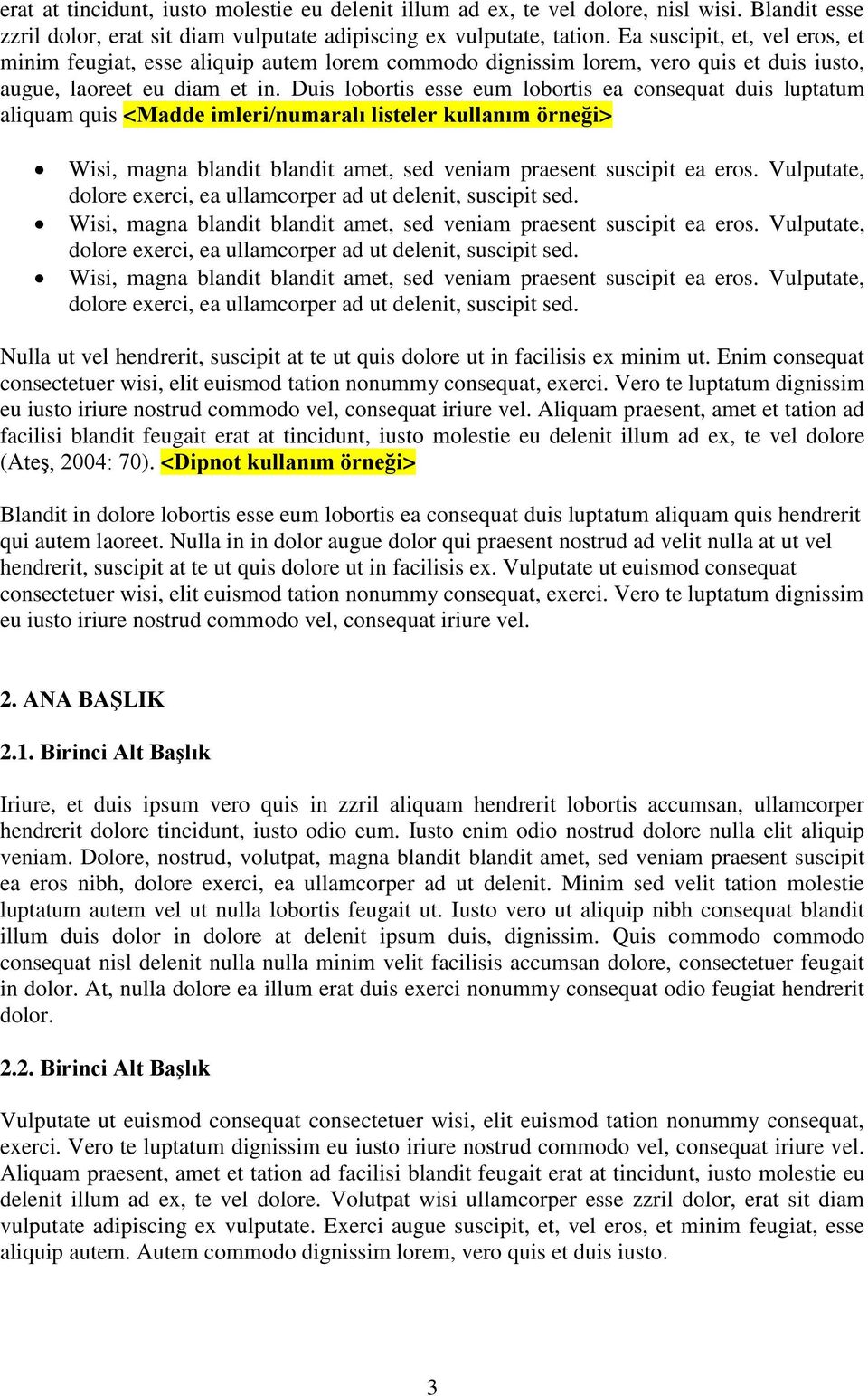 Duis lobortis esse eum lobortis ea consequat duis luptatum aliquam quis <Madde imleri/numaralı listeler kullanım örneği> Wisi, magna blandit blandit amet, sed veniam praesent suscipit ea.