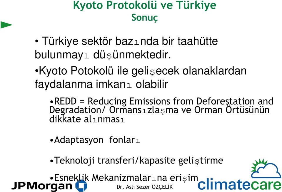 Kyoto Potokolü ile gelişecek olanaklardan faydalanma imkanı olabilir REDD = Reducing